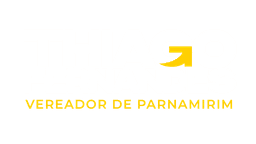 Thiago Fernandes